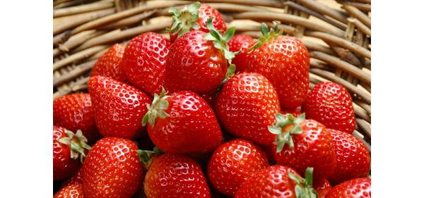 ���������������룬��ݮ���ꡰ���ۡ��е���