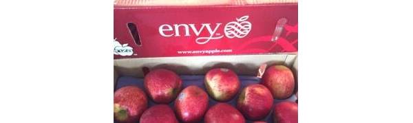 ̽Envyƻؼ
