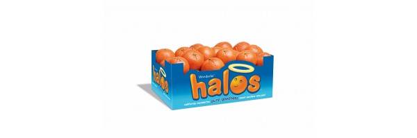 HaloһöССӵƷƳɳʷ
