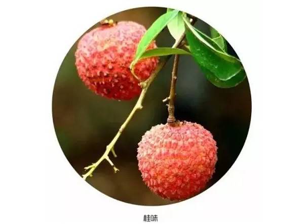 ֦֦Ǽۣݵ֦ȥˣ